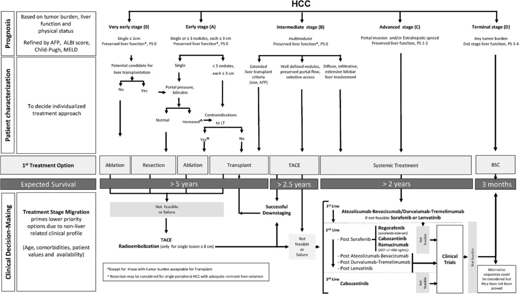 liver cases charts