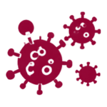 02-hepatitis-virus