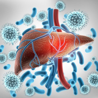 hepatitis B